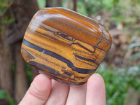 Polished Jumbo Golden Tigers Eye With Banded Iron Stone Free Forms x 6 From Prieska, South Africa