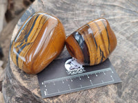 Polished Jumbo Golden Tigers Eye With Banded Iron Stone Free Forms x 6 From Prieska, South Africa