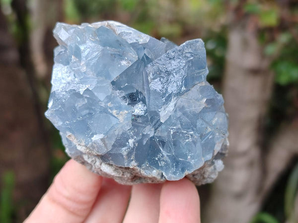 Natural Blue Celestite Specimens x 7 From Sakoany, Madagascar