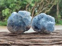 Natural Blue Celestite Specimens x 7 From Sakoany, Madagascar