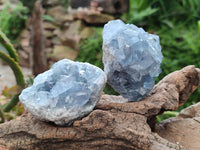Natural Blue Celestite Specimens x 7 From Sakoany, Madagascar