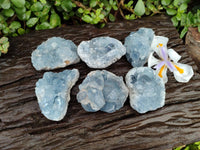 Natural Blue Celestite Specimens x 7 From Sakoany, Madagascar