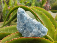 Natural Blue Celestite Specimens x 7 From Sakoany, Madagascar
