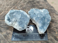 Natural Blue Celestite Specimens x 7 From Sakoany, Madagascar