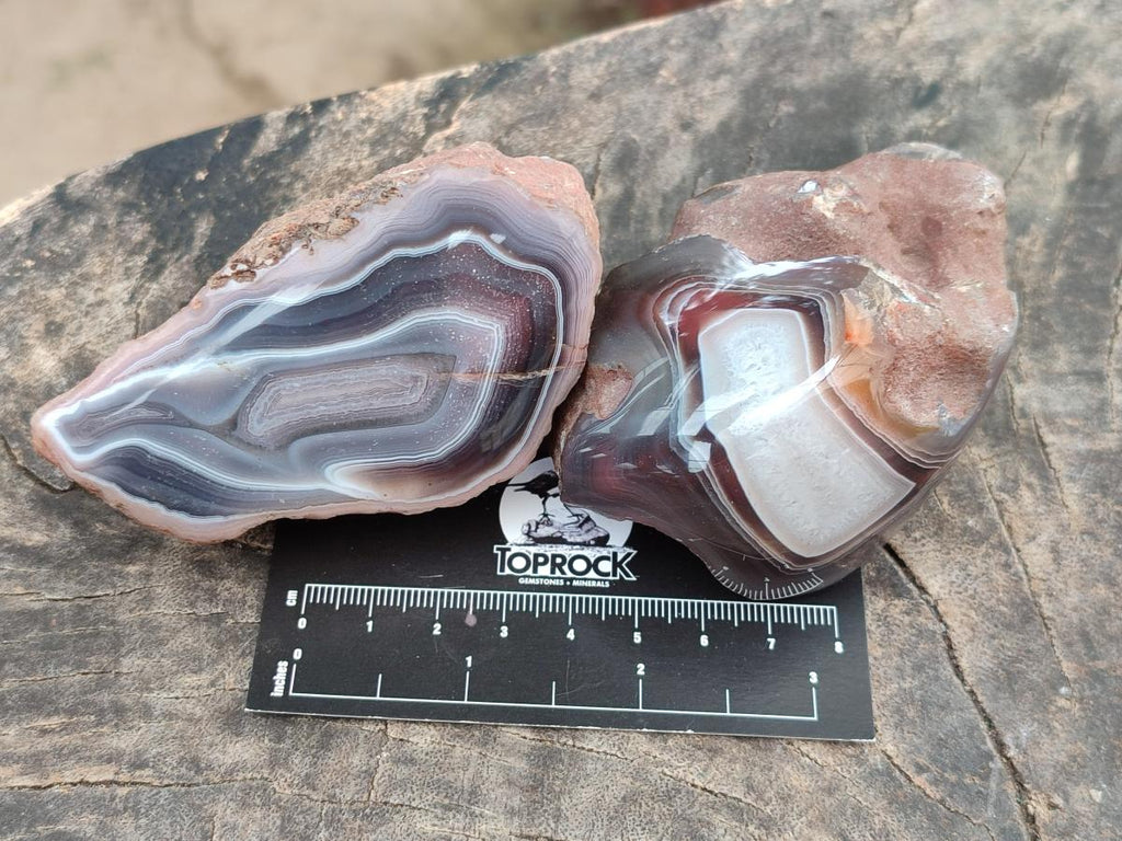 Polished Red Shashe River Agate Nodules x 6 From Shashe River, Zimbabwe