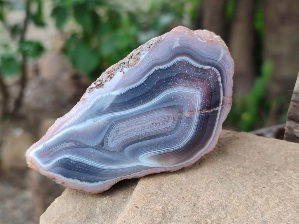Polished Red Shashe River Agate Nodules x 6 From Shashe River, Zimbabwe