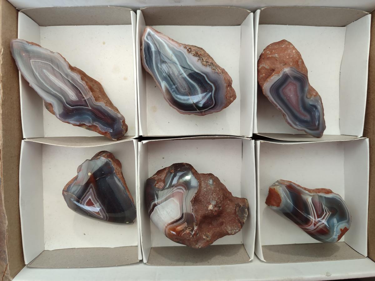Polished Red Shashe River Agate Nodules x 6 From Shashe River, Zimbabwe