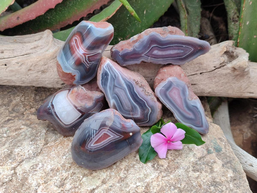 Polished Red Shashe River Agate Nodules x 6 From Shashe River, Zimbabwe