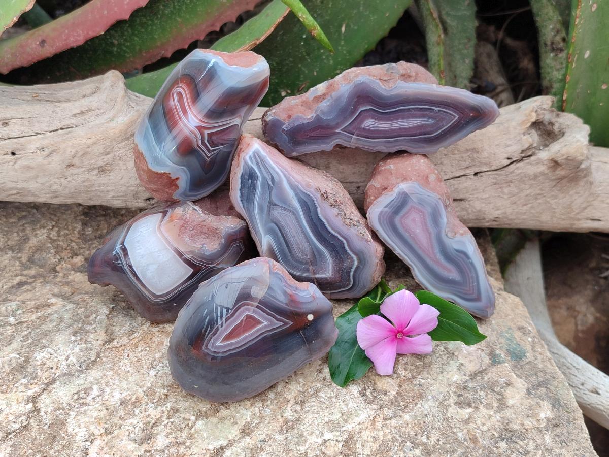 Polished Red Shashe River Agate Nodules x 6 From Shashe River, Zimbabwe