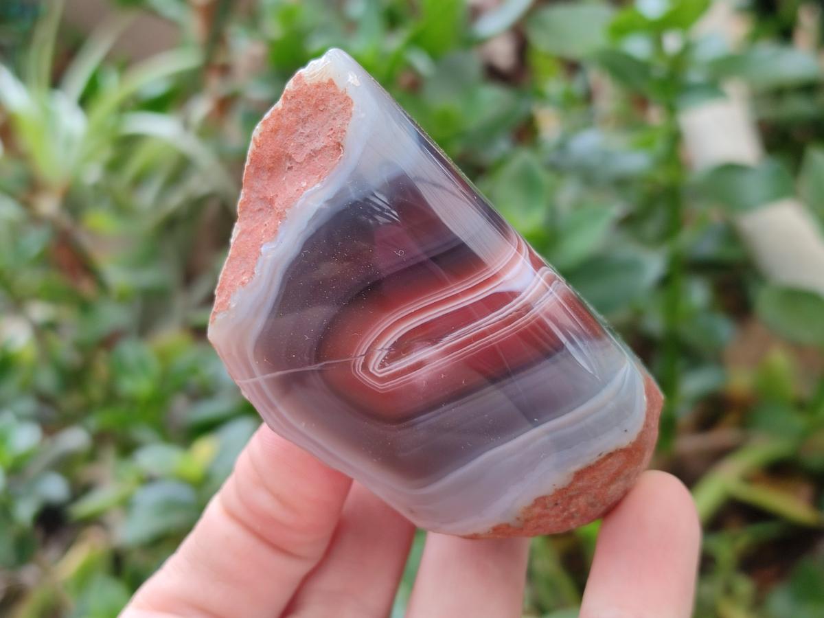 Polished Red Shashe River Agate Nodules x 6 From Shashe River, Zimbabwe