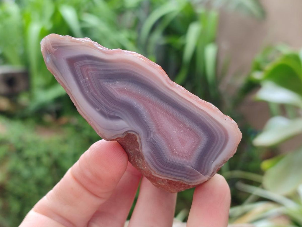 Polished Red Shashe River Agate Nodules x 6 From Shashe River, Zimbabwe