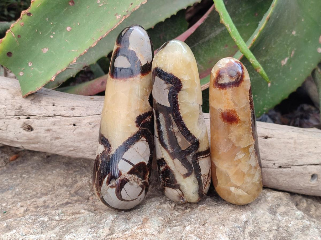 Polished Septerye Massage Wands x 6 From Mahajanga, Madagascar