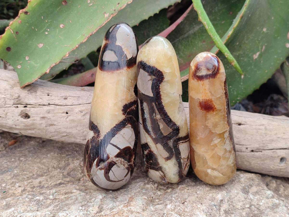 Polished Septerye Massage Wands x 6 From Mahajanga, Madagascar