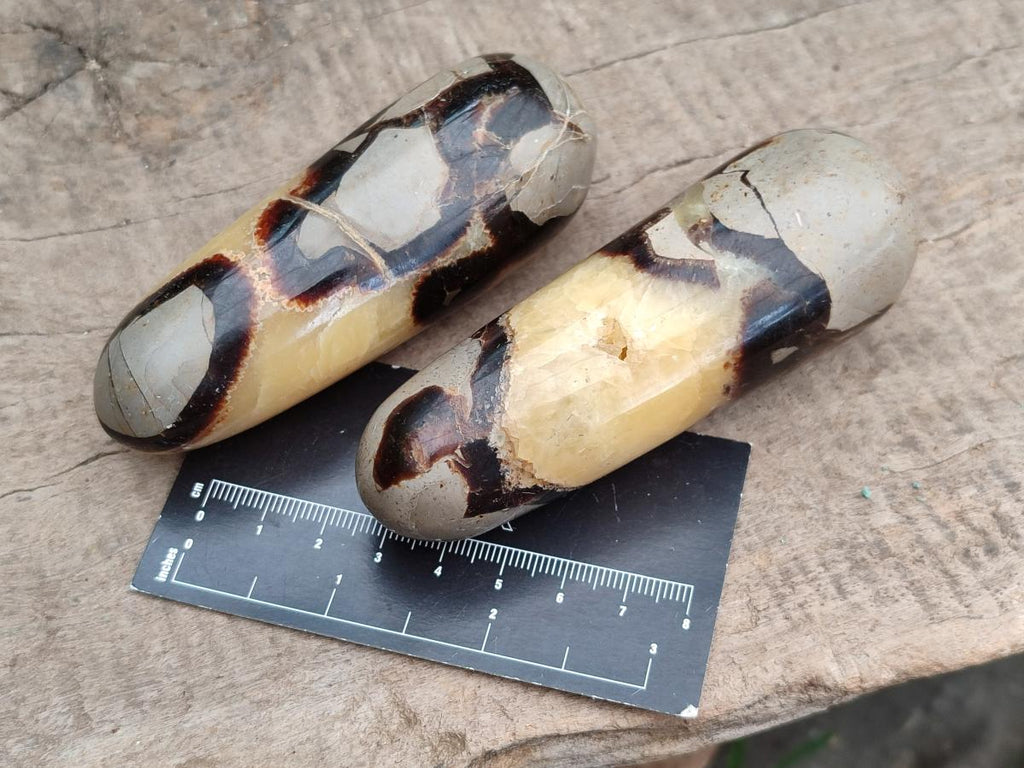 Polished Septerye Massage Wands x 6 From Mahajanga, Madagascar