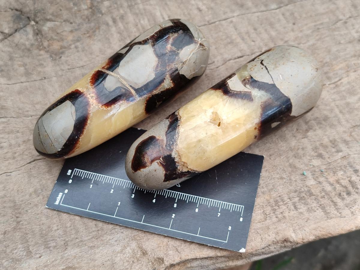 Polished Septerye Massage Wands x 6 From Mahajanga, Madagascar