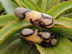 Polished Septerye Massage Wands x 6 From Mahajanga, Madagascar