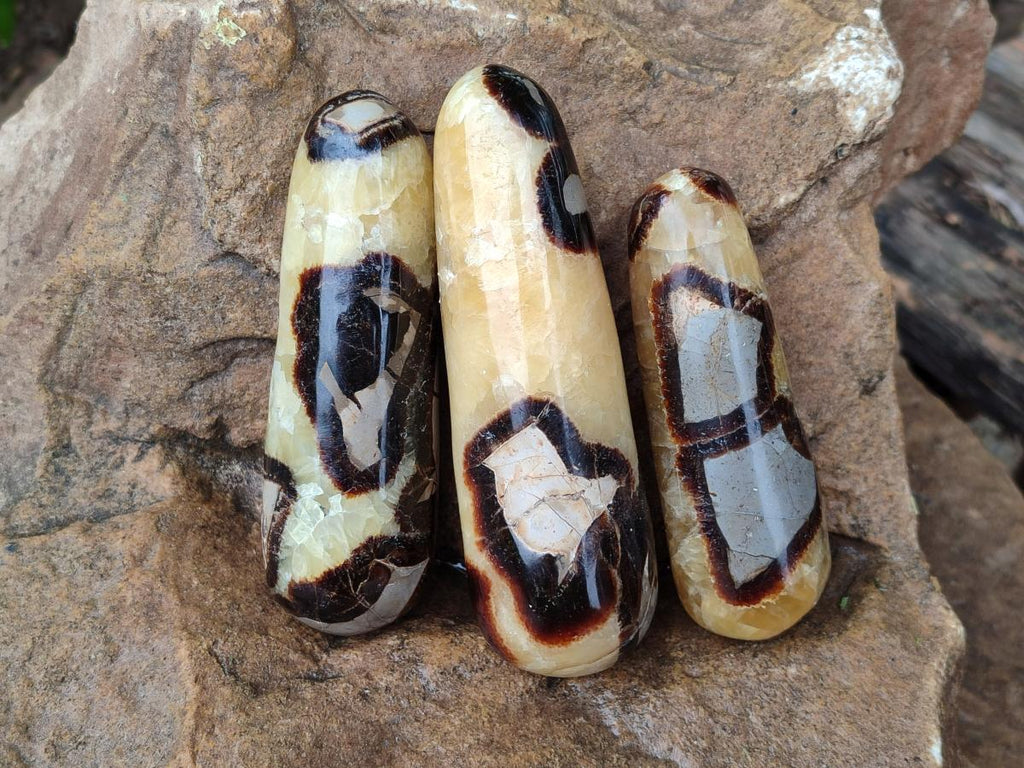 Polished Septerye Massage Wands x 6 From Mahajanga, Madagascar