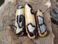 Polished Septerye Massage Wands x 6 From Mahajanga, Madagascar