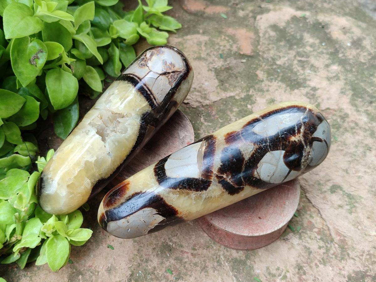 Polished Septerye Massage Wands x 6 From Mahajanga, Madagascar