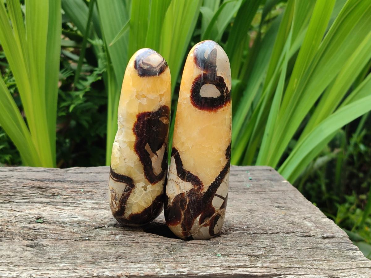 Polished Septerye Massage Wands x 6 From Mahajanga, Madagascar