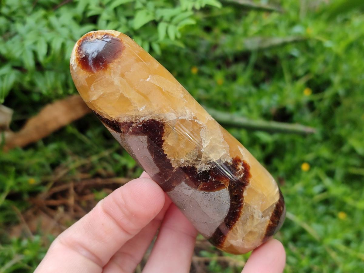 Polished Septerye Massage Wands x 6 From Mahajanga, Madagascar