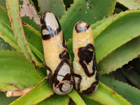 Polished Septerye Massage Wands x 6 From Mahajanga, Madagascar