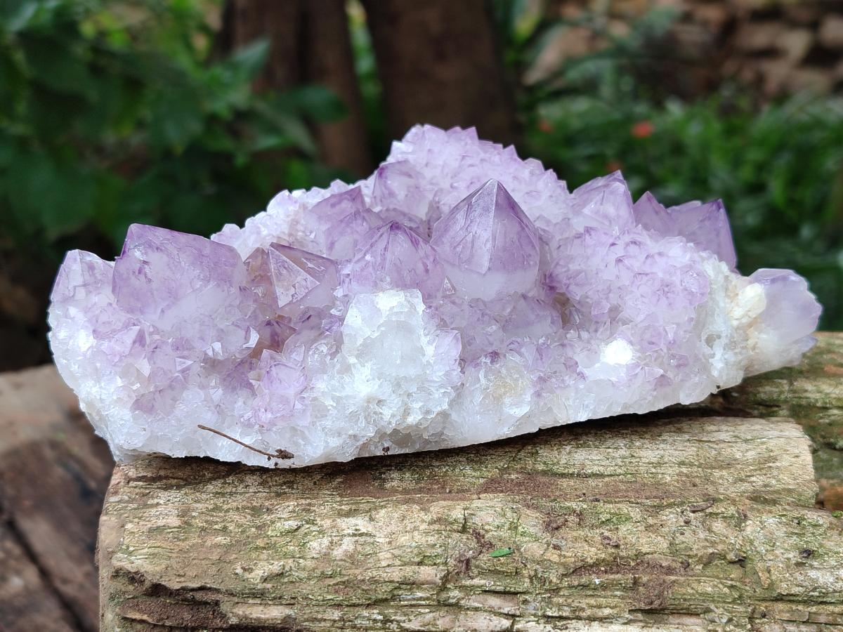Natural Sunburst Amethyst Spirit Clusters x 2 From Boekenhouthoek, South Africa