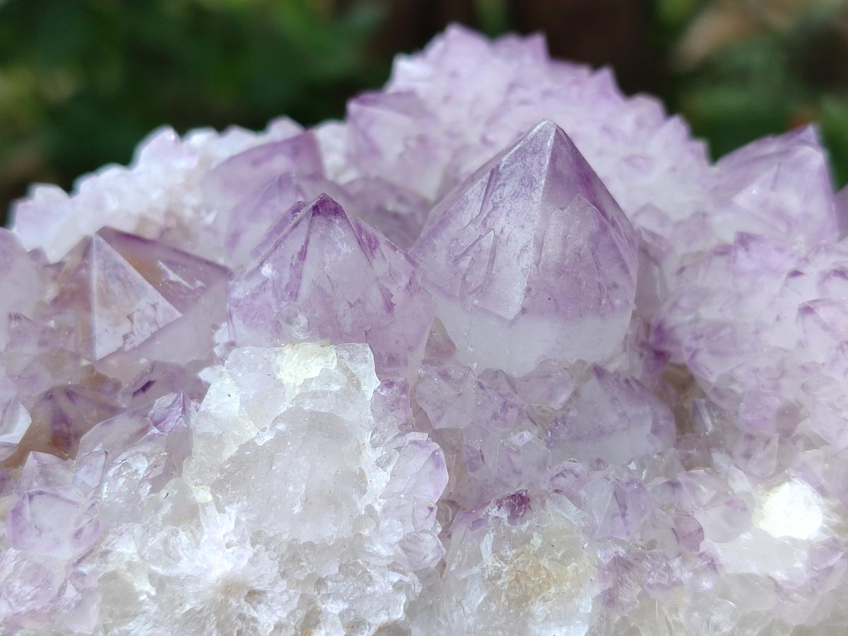 Natural Sunburst Amethyst Spirit Clusters x 2 From Boekenhouthoek, South Africa