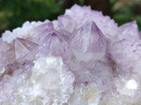 Natural Sunburst Amethyst Spirit Clusters x 2 From Boekenhouthoek, South Africa
