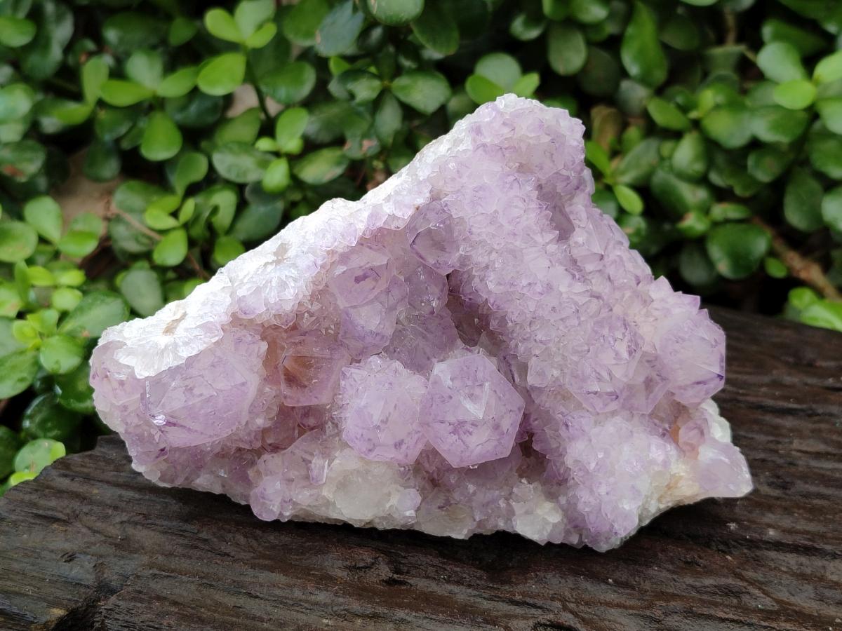 Natural Sunburst Amethyst Spirit Clusters x 2 From Boekenhouthoek, South Africa