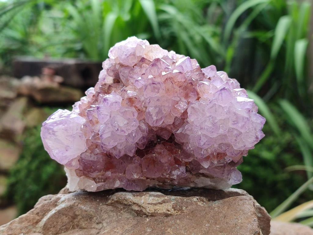 Sunburst Rocks Natural Sunburst Amethyst Spirit Clusters x 2 From Boekenhouthoek, Sou ...