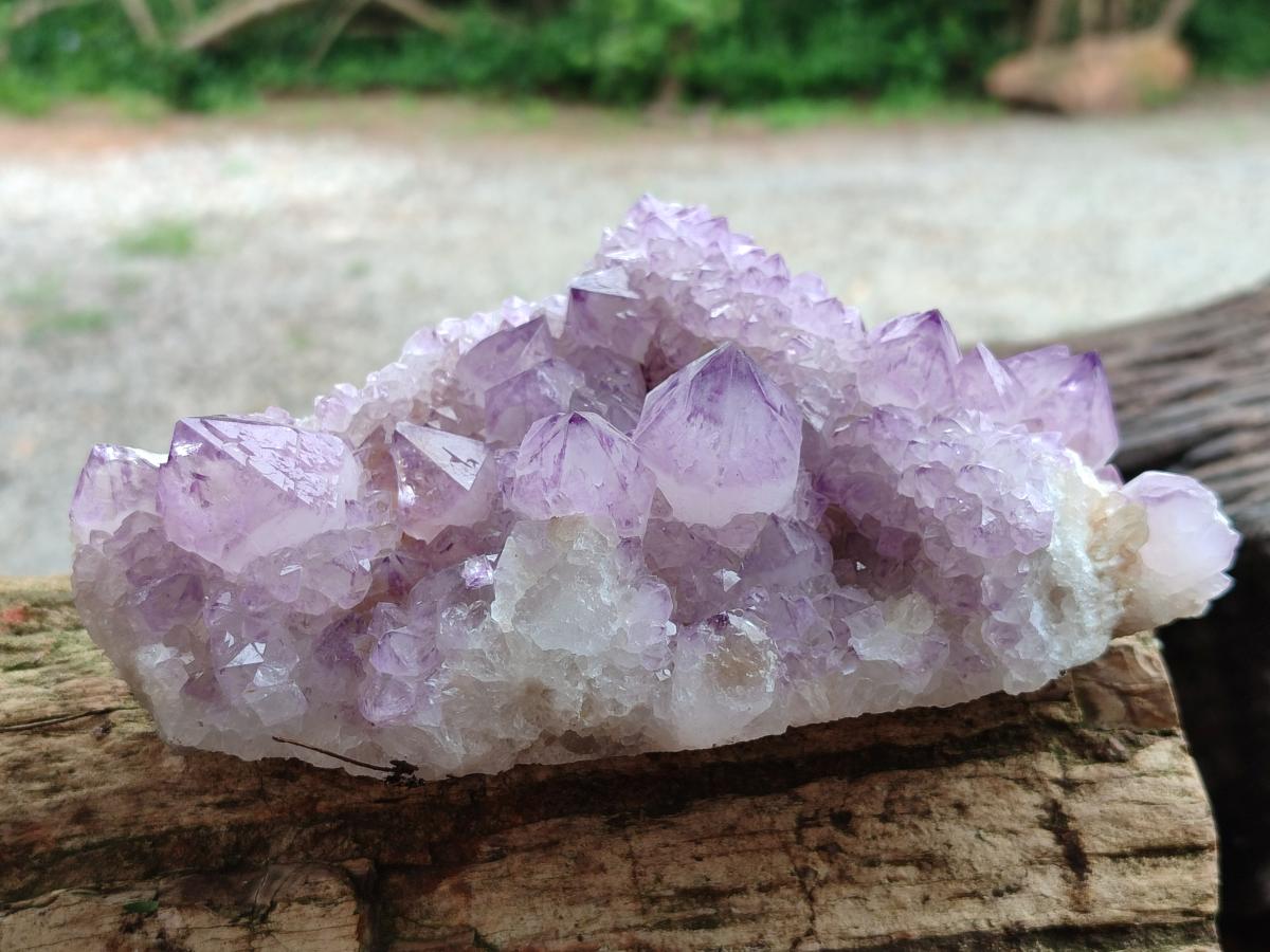 Natural Sunburst Amethyst Spirit Clusters x 2 From Boekenhouthoek, South Africa