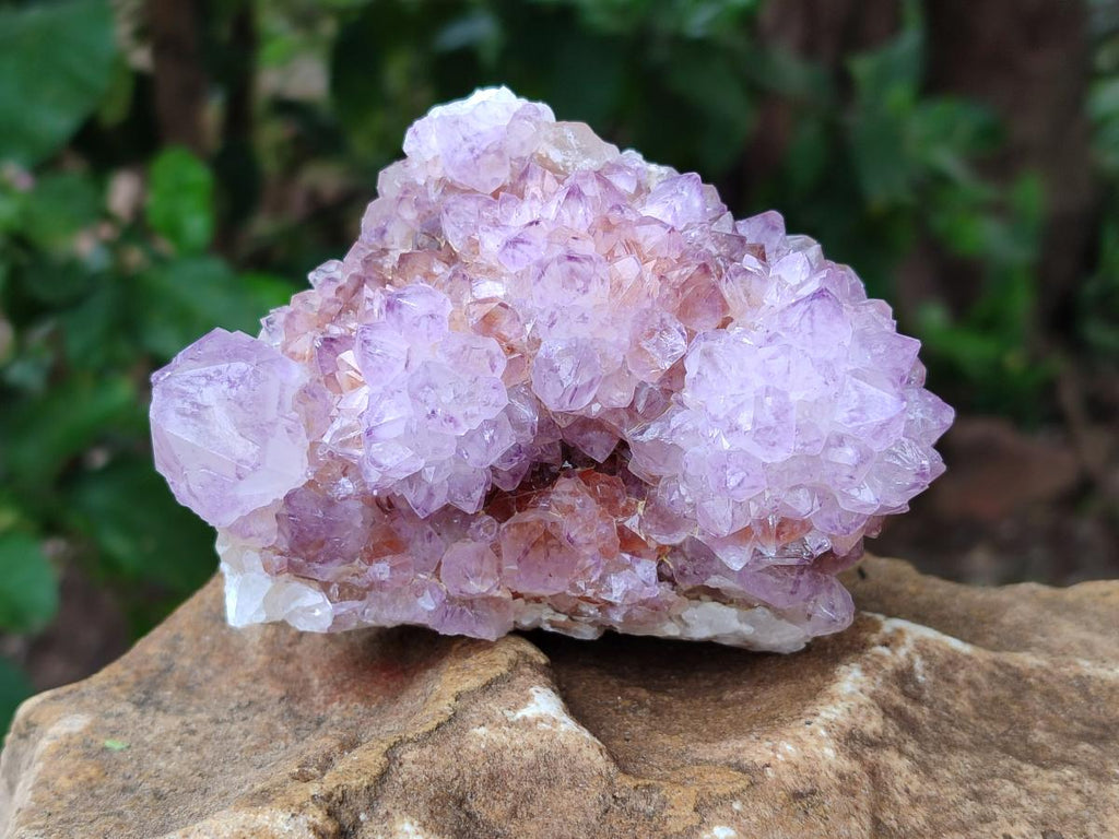 Natural Sunburst Amethyst Spirit Clusters x 2 From Boekenhouthoek, South Africa