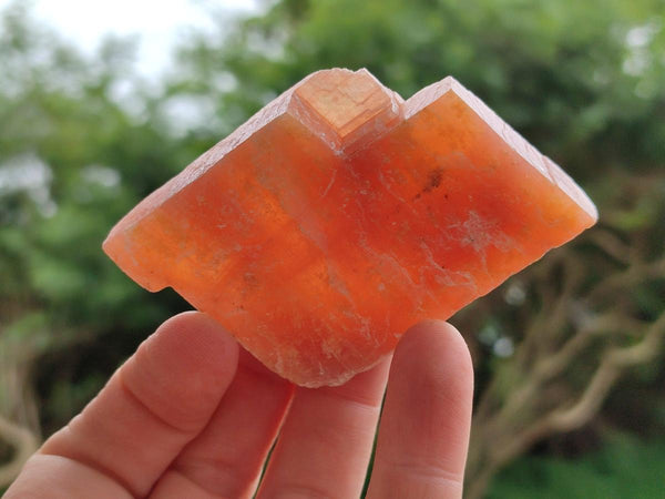 Natural Sunset Orange Calcite Specimens x 24 From Spitzkop, Namibia