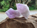 Natural Jacaranda Amethyst Crystals x 12 From Mumbwa, Zambia