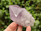 Natural Jacaranda Amethyst Crystals x 12 From Mumbwa, Zambia