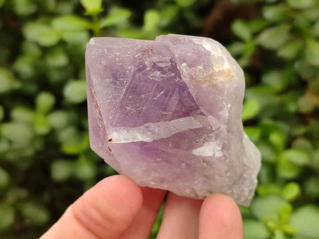 Natural Jacaranda Amethyst Crystals x 12 From Mumbwa, Zambia