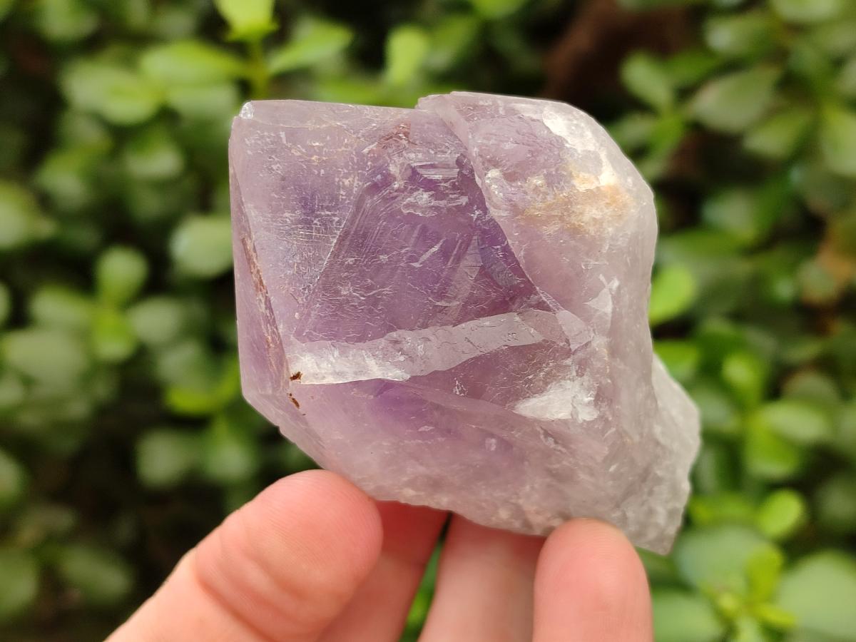Natural Jacaranda Amethyst Crystals x 12 From Mumbwa, Zambia