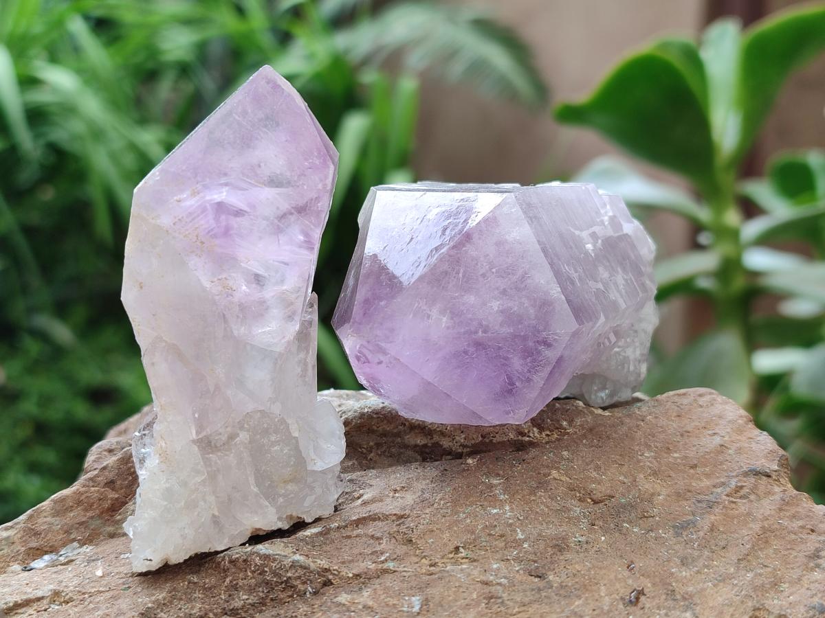 Natural Jacaranda Amethyst Crystals x 12 From Mumbwa, Zambia