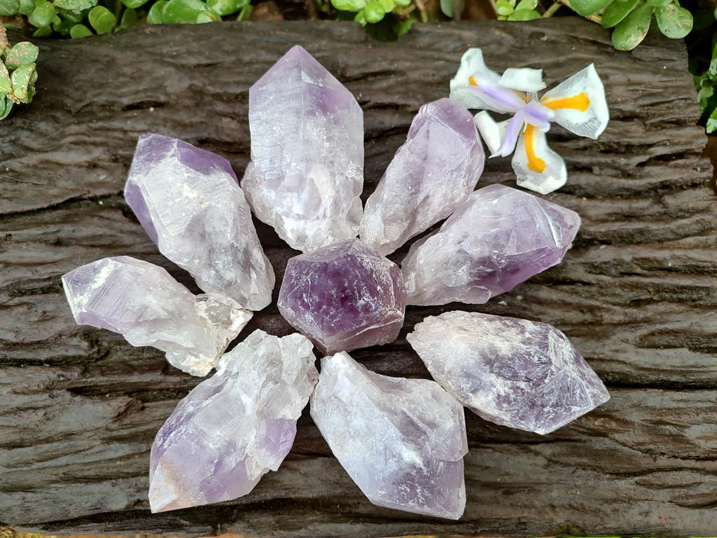 Natural Jacaranda Amethyst Crystals x 12 From Mumbwa, Zambia