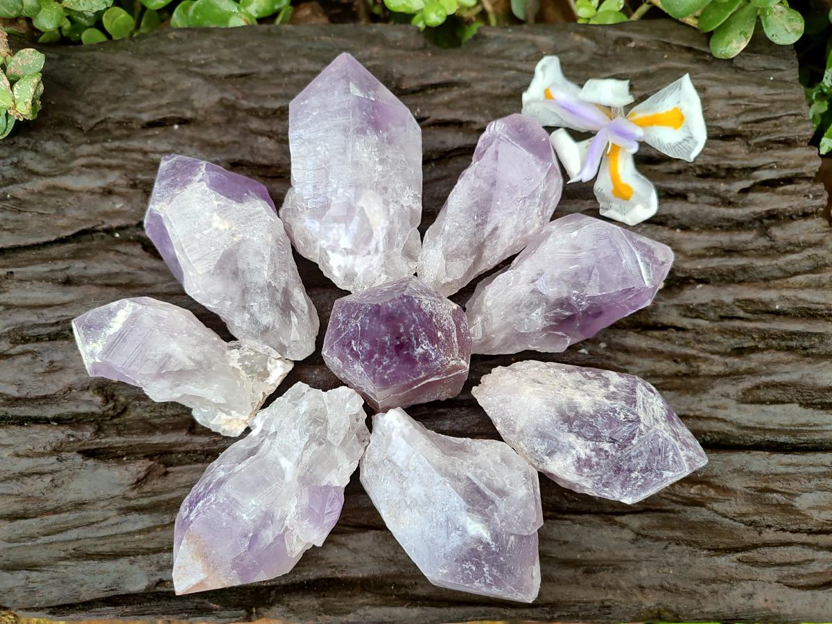 Natural Jacaranda Amethyst Crystals x 12 From Mumbwa, Zambia