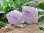 Natural Jacaranda Amethyst Crystals x 12 From Mumbwa, Zambia