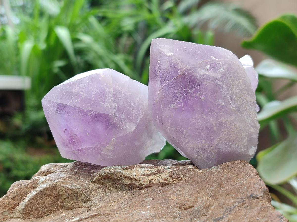 Natural Jacaranda Amethyst Crystals x 12 From Mumbwa, Zambia