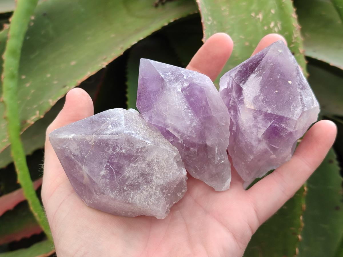 Natural Jacaranda Amethyst Crystals x 12 From Mumbwa, Zambia