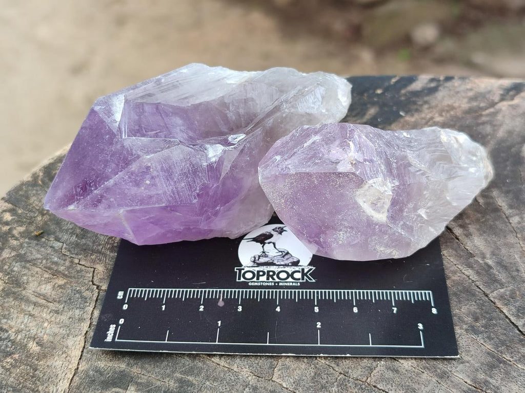 Natural Jacaranda Amethyst Crystals x 12 From Mumbwa, Zambia
