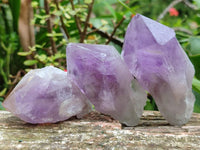 Natural Jacaranda Amethyst Crystals x 12 From Mumbwa, Zambia