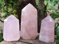 Polished Rose Quartz Crystals x 3 From Madagascar