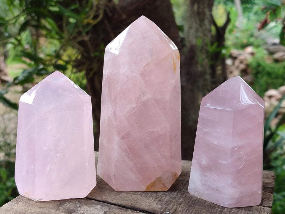 Polished Rose Quartz Crystals x 3 From Madagascar
