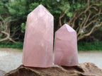Polished Rose Quartz Crystals x 3 From Madagascar