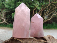 Polished Rose Quartz Crystals x 3 From Madagascar